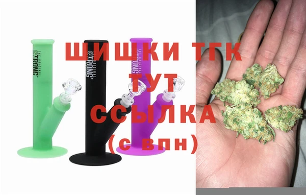 прущие грибы Белокуриха