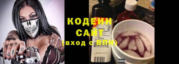 прущие грибы Белокуриха