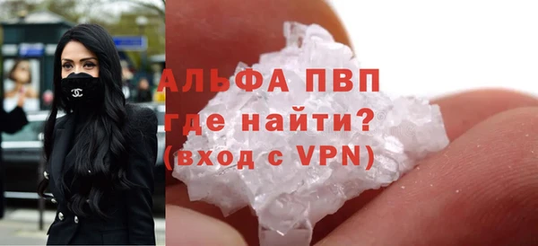 прущие грибы Белокуриха