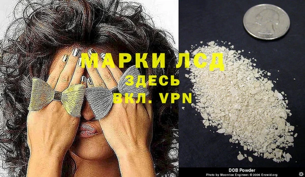 прущие грибы Белокуриха