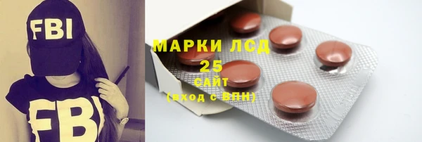 прущие грибы Белокуриха
