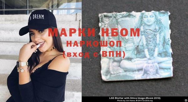 прущие грибы Белокуриха