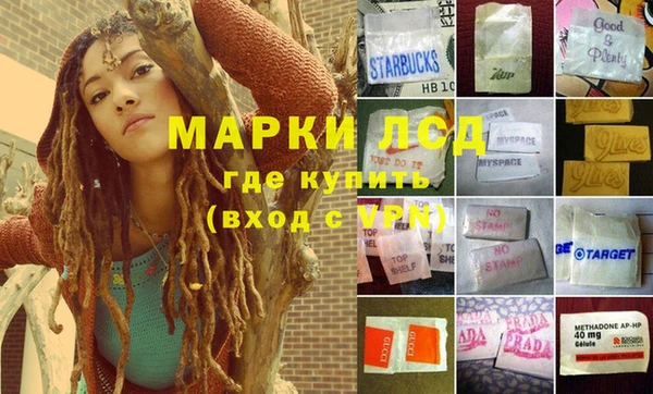 прущие грибы Белокуриха