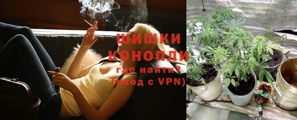 прущие грибы Белокуриха