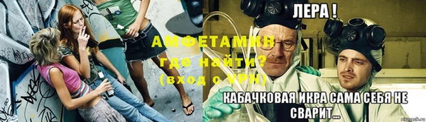 прущие грибы Белокуриха