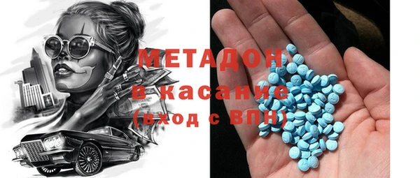 прущие грибы Белокуриха