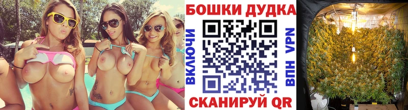 где найти   блэк спрут ТОР  Каннабис VHQ  Дрезна 